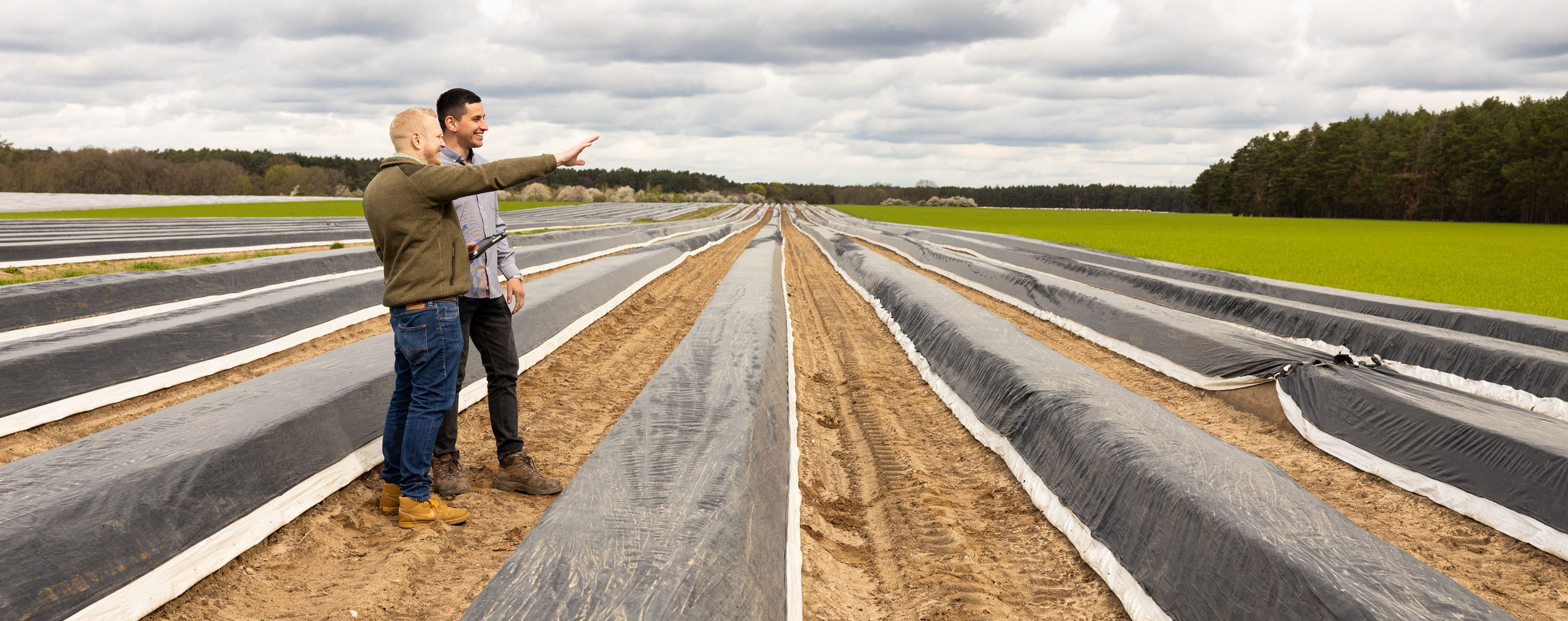 Nachhaltige Landwirtschaft: Gemeinsam durch das Labyrinth der EU-Agrarförderung